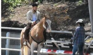 Bad Bunny y Kendall Jenner levantan las redes con su romántica cita a caballo