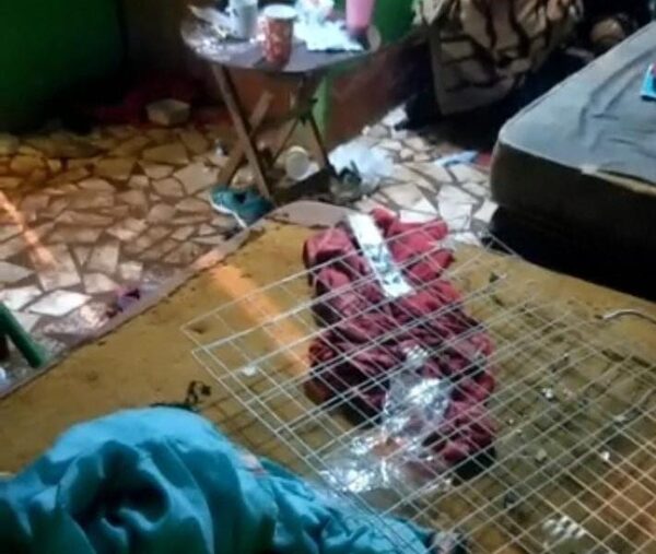 Rescatan a menores abandonadas en un precario inquilinato de Presidente Franco – Diario TNPRESS