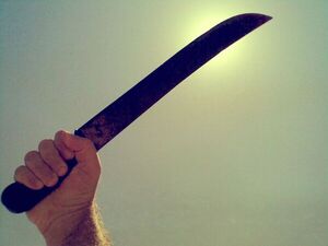Discusión entre indígenas arrojó un herido grave por arma blanca - Radio Imperio