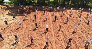 A Todo Pulmón cumple 14 años trabajando en restauración de bosques y ejecución de proyectos socioambientales