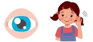 A cuidar los ojos y oídos - Escolar - ABC Color