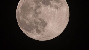 La superluna rosa en todo su esplendor