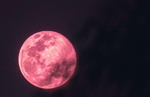Diario HOY | Luna Rosa de abril 2023: ¿Cuándo y dónde ver este fenómeno astronómico?
