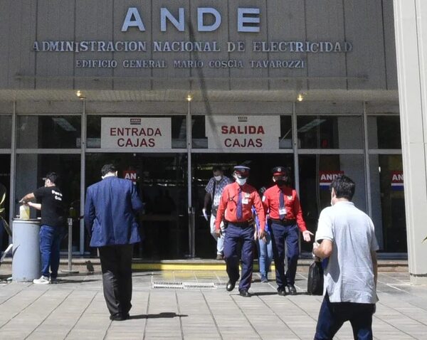 Ofertas por servicios de seguridad para la ANDE exceden sus estimaciones en 14% - Economía - ABC Color