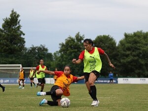 Fútbol táctico como trabajo principal - APF
