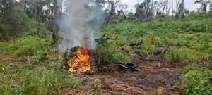 Diario HOY | Destruyen 15 toneladas de droga en reserva San Rafael