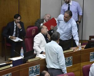 Ejecutivo pide acuerdo para embajador concurrente ante Bahréin - Política - ABC Color