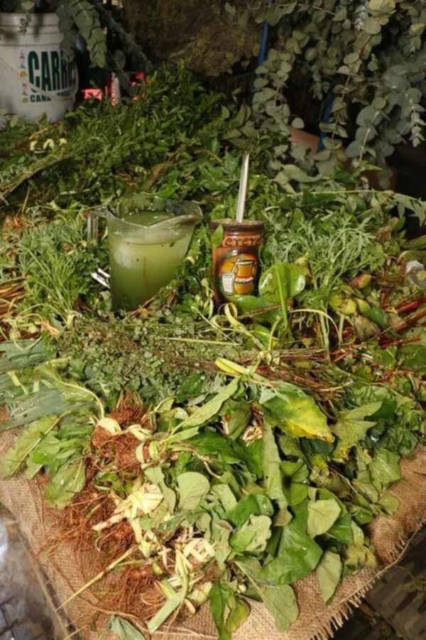 Cuatro remedios yuyos para curar la indigestión en Semana Santa - Nacionales - ABC Color