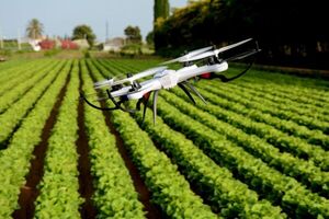 Abren concurso de soluciones para el agro