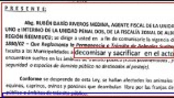 Fiscal pidió a intendenta que se mate al toque animales sueltos