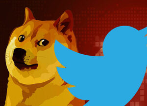 El pájaro azul vuelve a Twitter después de cambiarlo a Dogecoin | 1000 Noticias
