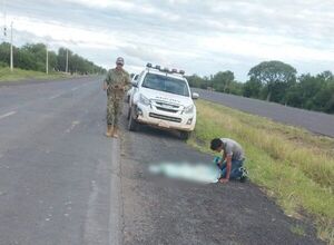 Niño de cinco años murió atropellado sobre la Ruta Transchaco
