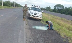 Niño de cinco años murió atropellado sobre la Ruta Transchaco - Noticiero Paraguay
