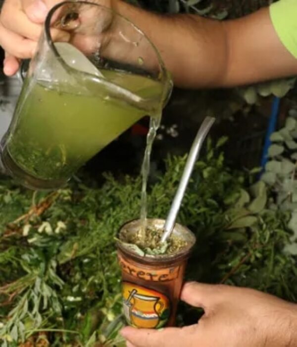 Yuyos para el mate y tereré que combaten el karuvai o indigestión pos-Semana Santa - Nacionales - ABC Color