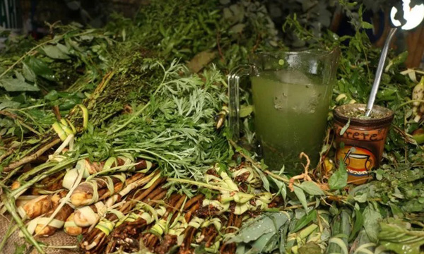 Remedios yuyos para el mate y el tereré para combatir la indigestión pos-Semana Santa - OviedoPress