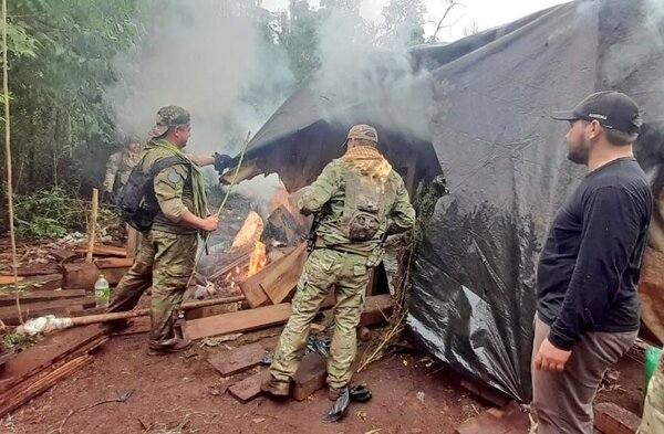 Eliminan campamentos de producción de marihuana en Reserva San Rafael - .::Agencia IP::.