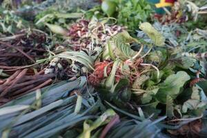 Remedios yuyos para dar pelea al karu vai en Semana Santa