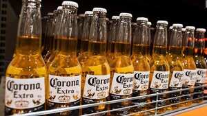 Constellation Brands destinará más del 70% de su inversión anual a México | Internacionales | 5Días