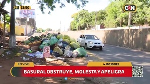Basural obstruye, molesta y apeligra en 4 Mojones - C9N