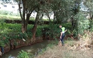 Infructuosas búsquedas de mujer desaparecida desde el viernes pasado - La Clave