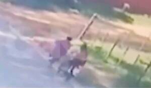 Volvía de una misa y encontró la muerte: la arrolló una moto de manera violenta