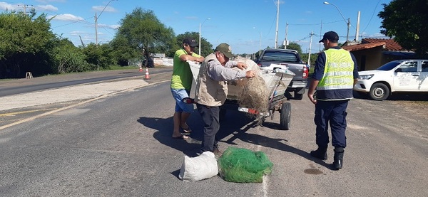 Destacan menos incautaciones de pescados y piezas de animales silvestres durante Semana Santa