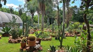 Jardín Urumbé es el mayor productor de cactus y suculentas de la región (cuenta con más de 3.000 especies)