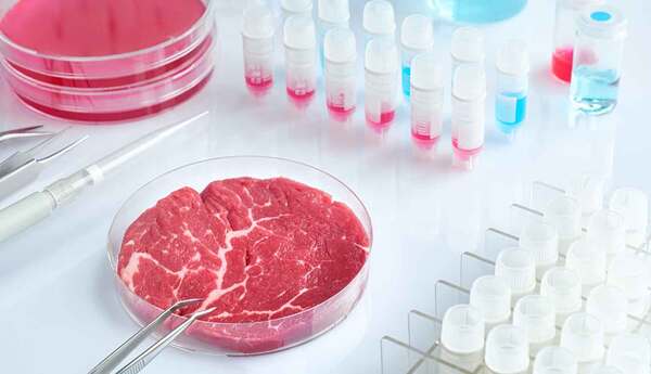 Gobierno italiano va por el camino de prohibir el comercio de carne sintética