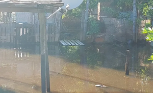 Joven habría intentado robar cables y murió electrocutado - Noticiero Paraguay