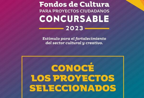 65 proyectos culturales fueron seleccionados para recibir apoyo financiero | Lambaré Informativo