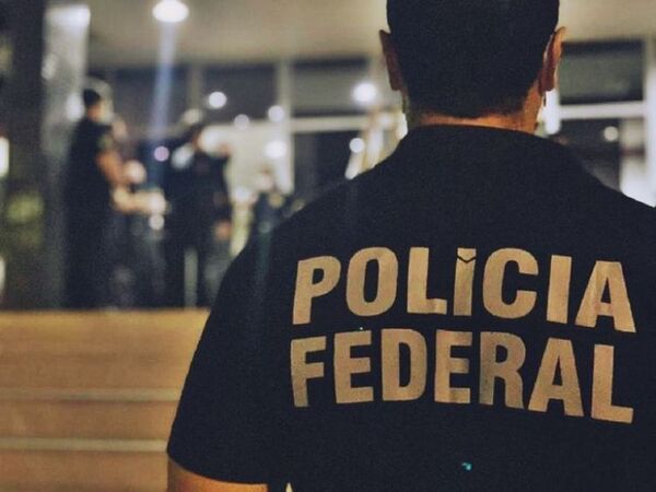 La Policía Federal incauta carga de armamentos en la frontera