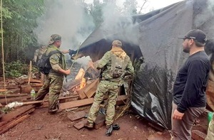 Eliminan campamentos de producción de marihuana en Itapúa