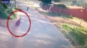 [Imágenes fuertes] Murió tras ser atropellada por un motociclista | Telefuturo