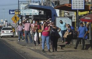 Revelarán este martes datos del transporte público obtenidos vía amparo - Nacionales - ABC Color