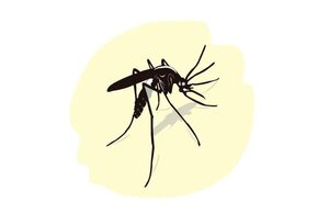 25 de abril, Día Mundial del Paludismo o Malaria - Escolar - ABC Color