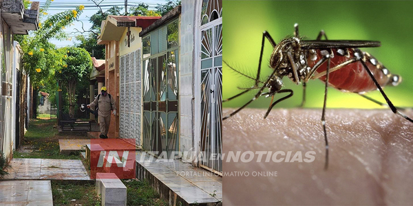 1.050 CASOS CONFIRMADOS DE CHIKUNGUNYA EN EL DEPARTAMENTO DE ITAPÚA - Itapúa Noticias