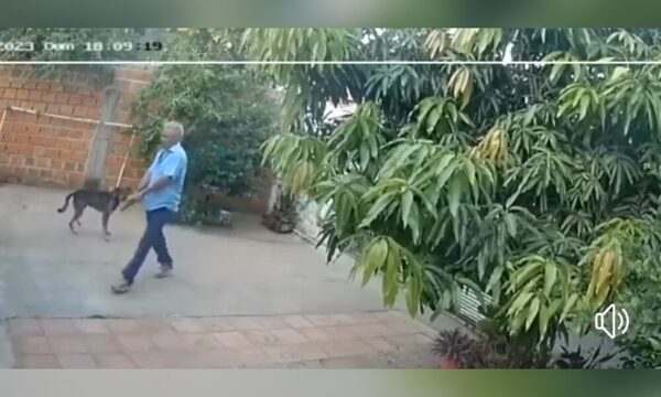 Habría matado a su hijastra porque confesó que abusaba de ella