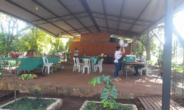 Desolador panorama en feria franqueña de productores