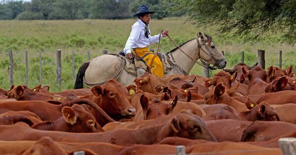 La Nación / Paraguay es un país que respeta leyes ambientales y laborales, aseguró Bertoni