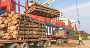 Sector maderero espera mayor dinamismo para el segundo semestre