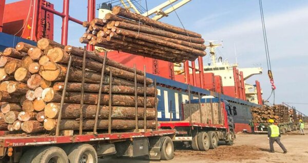 Sector maderero espera mayor dinamismo para el segundo semestre