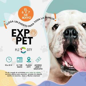 Preparan la 1ª Expo Pet en Ciudad del Este - La Clave