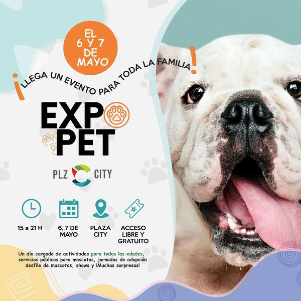 Preparan la 1ª Expo Pet en Ciudad del Este - La Clave