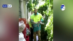 Capturan enorme serpiente en Concepción - Noticias Paraguay