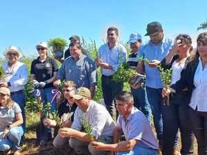 REALIZAN QUINTA EDICIÓN DE LA PLANTATÓN “RESTAUREMOS SAN RAFAEL- TEKOHA GUASÚ”