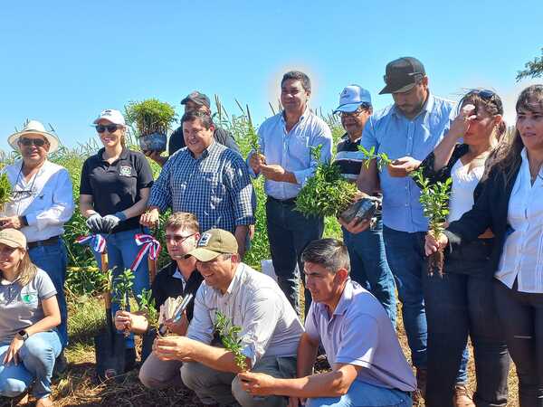 REALIZAN QUINTA EDICIÓN DE LA PLANTATÓN “RESTAUREMOS SAN RAFAEL- TEKOHA GUASÚ”