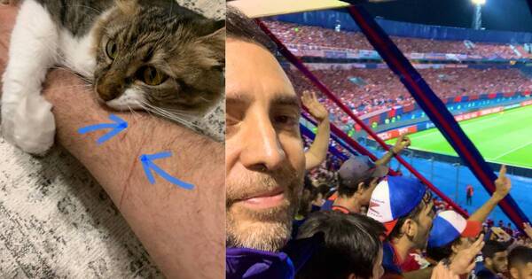 La Nación / Michi olimpista: embajador británico fue “regañado” tras visitar la Nueva Olla