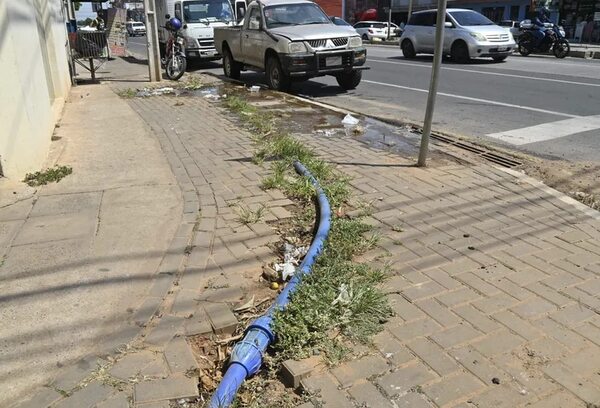 Metrobús: Frentistas creen que Santiago Peña también debe ser imputado y otros más  - Economía - ABC Color