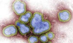Diario HOY | OMS registra en China primera muerte por gripe aviar H3N8 en el mundo