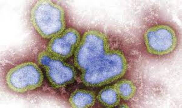 Diario HOY | OMS registra en China primera muerte por gripe aviar H3N8 en el mundo